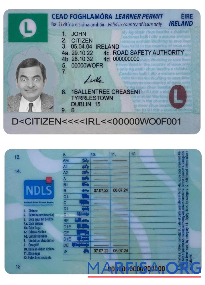 Realistic Ireland driving license (learner permit) 2022 present real example